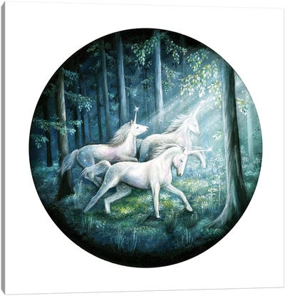 The Journey Canvas Art Print - Unicorn Art