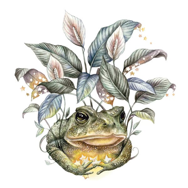Frogs: The Collector by Kimera Wachna