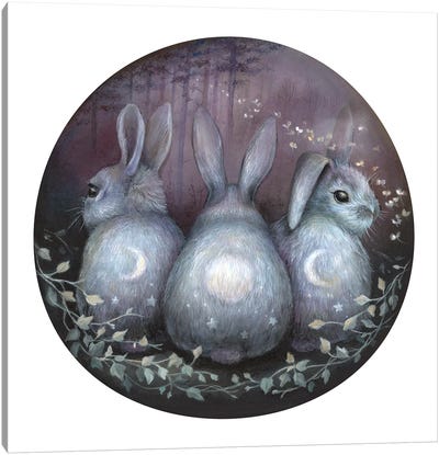 Triple Moon Rabbits Canvas Art Print - Natural Meets Mythical