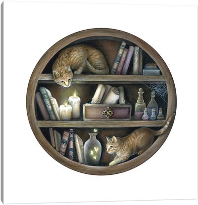 Witch's Cabinet Canvas Art Print - Witch Art