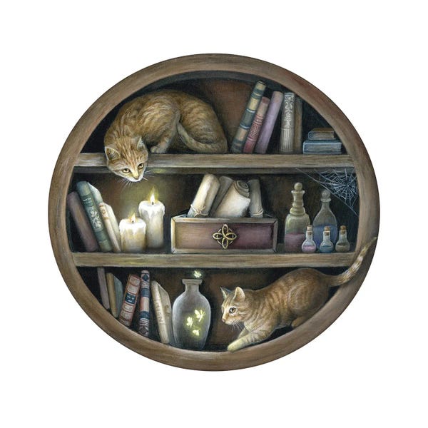 Witches: Witch's Cabinet by Kimera Wachna