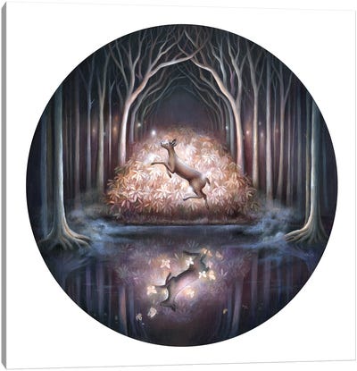 Black Woods Water II Canvas Art Print - Illuminated Dreamscapes
