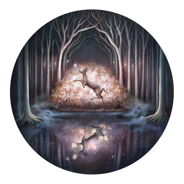 Illuminated Dreamscapes: Black Woods Water II by Kimera Wachna