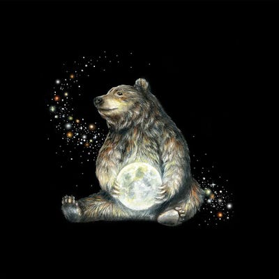 Cosmic Creatures Bear by Kimera Wachna gallery poster
