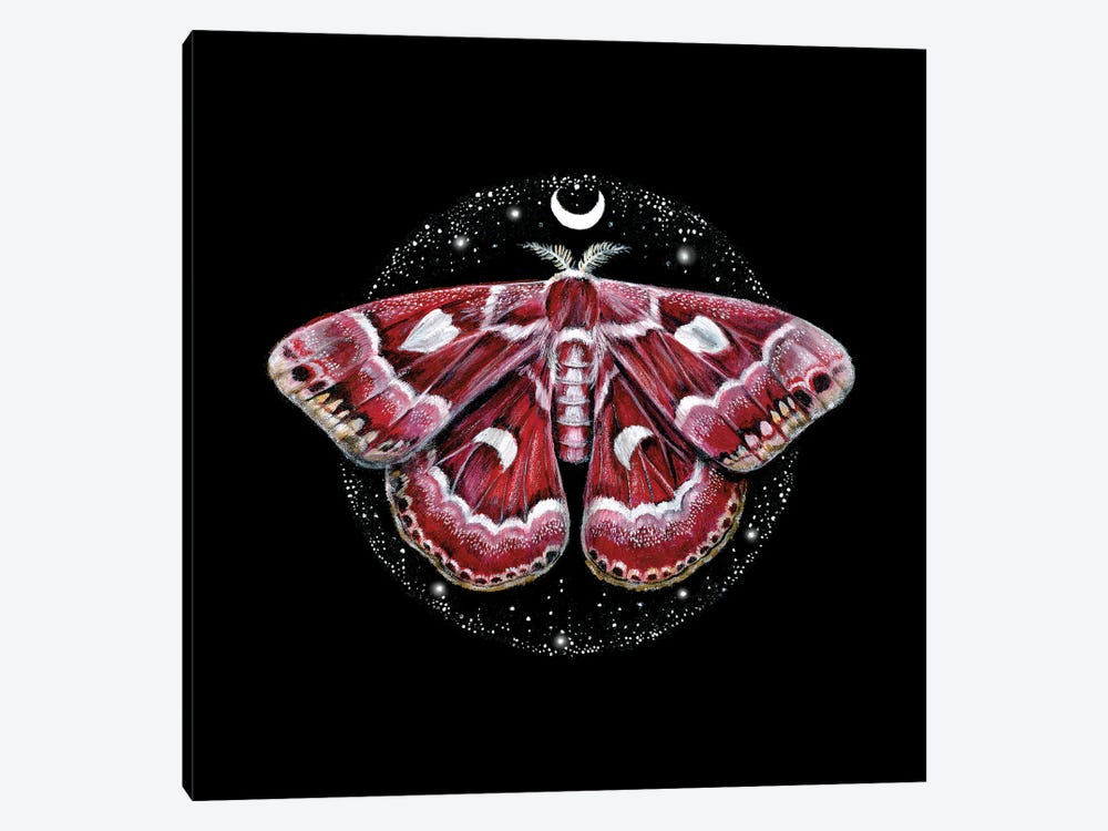 Cosmic Creatures Moth by Kimera Wachna 1-piece Canvas Wall Art