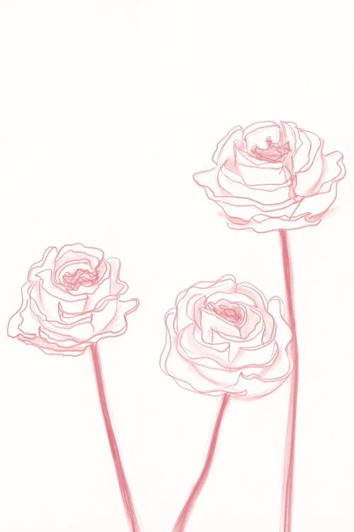 Peony Blooms II by Kayleigh Wold wall art