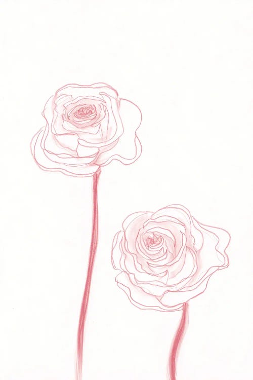 Peony Blooms III by Kayleigh Wold wall art