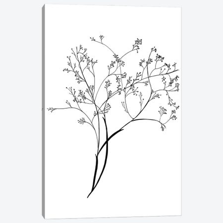 Airy Blooms III Canvas Print #KWD1} by Kayleigh Wold Canvas Print