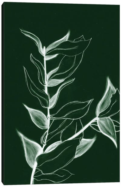 Charcoal Foliage I Canvas Art Print