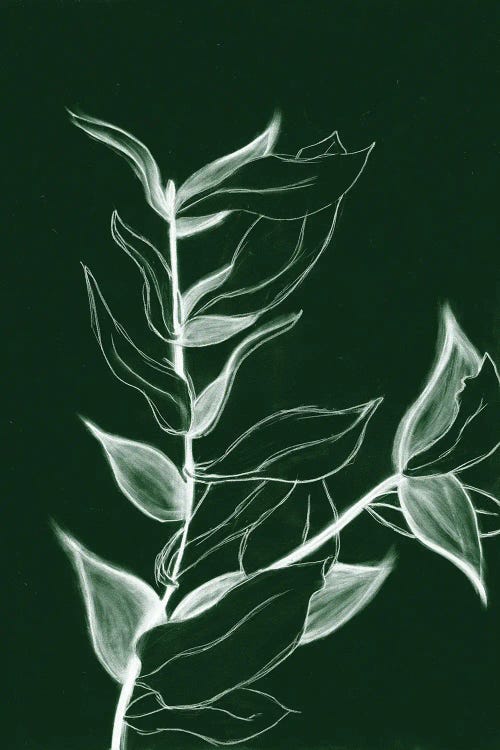 Charcoal Foliage I