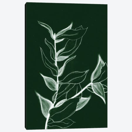 Charcoal Foliage I Canvas Print #KWD2} by Kayleigh Wold Art Print