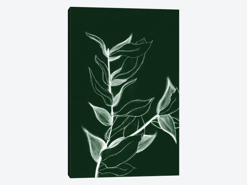 Charcoal Foliage I by Kayleigh Wold 1-piece Canvas Artwork