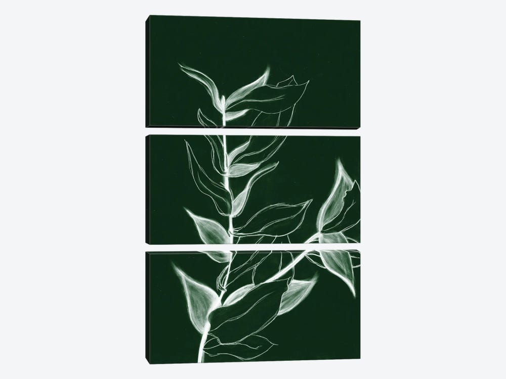 Charcoal Foliage I by Kayleigh Wold 3-piece Canvas Art