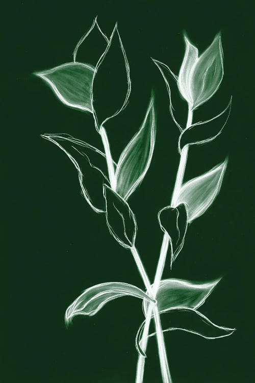 Charcoal Foliage II