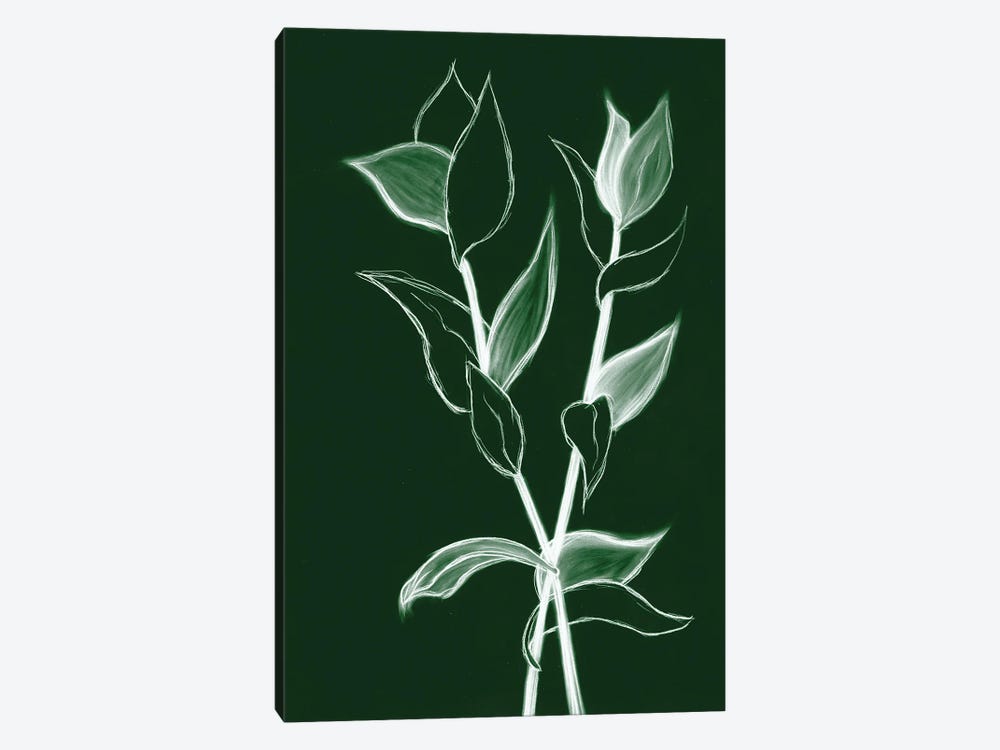 Charcoal Foliage II by Kayleigh Wold 1-piece Art Print