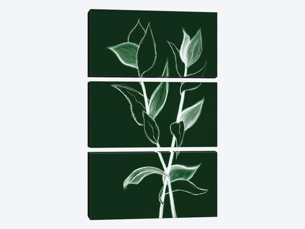 Charcoal Foliage II by Kayleigh Wold 3-piece Art Print