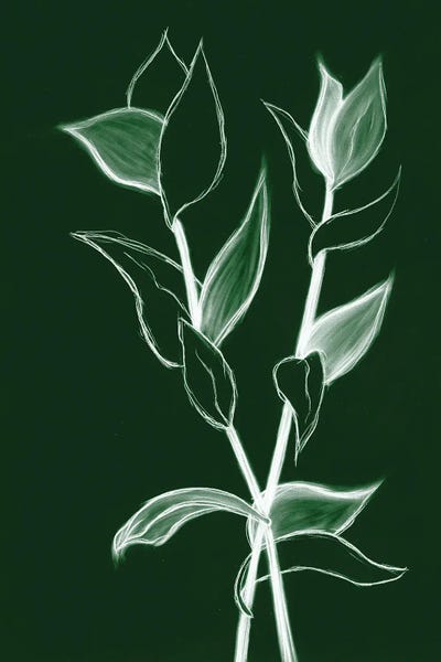 Kayleigh Wold: Charcoal Foliage II by Kayleigh Wold