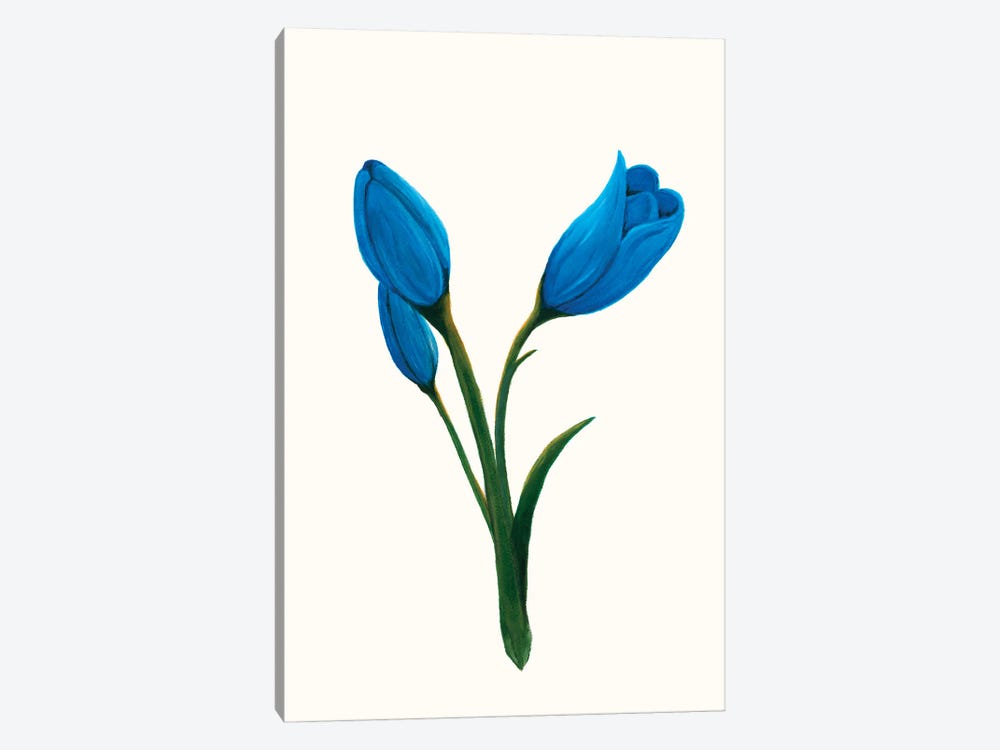 Clear Day Lily I by Kayleigh Wold 1-piece Canvas Wall Art
