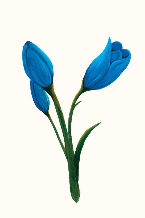 Clear Day Lily I by Kayleigh Wold wall art