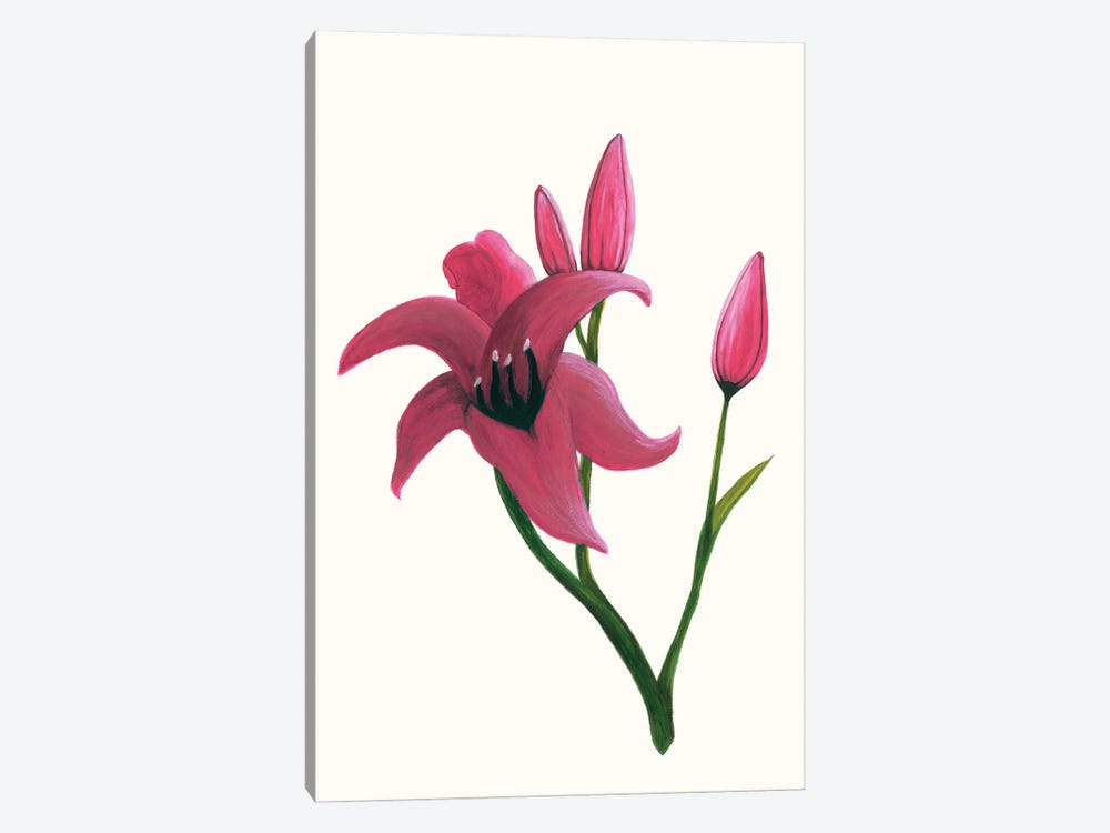 Clear Day Lily II by Kayleigh Wold 1-piece Canvas Print