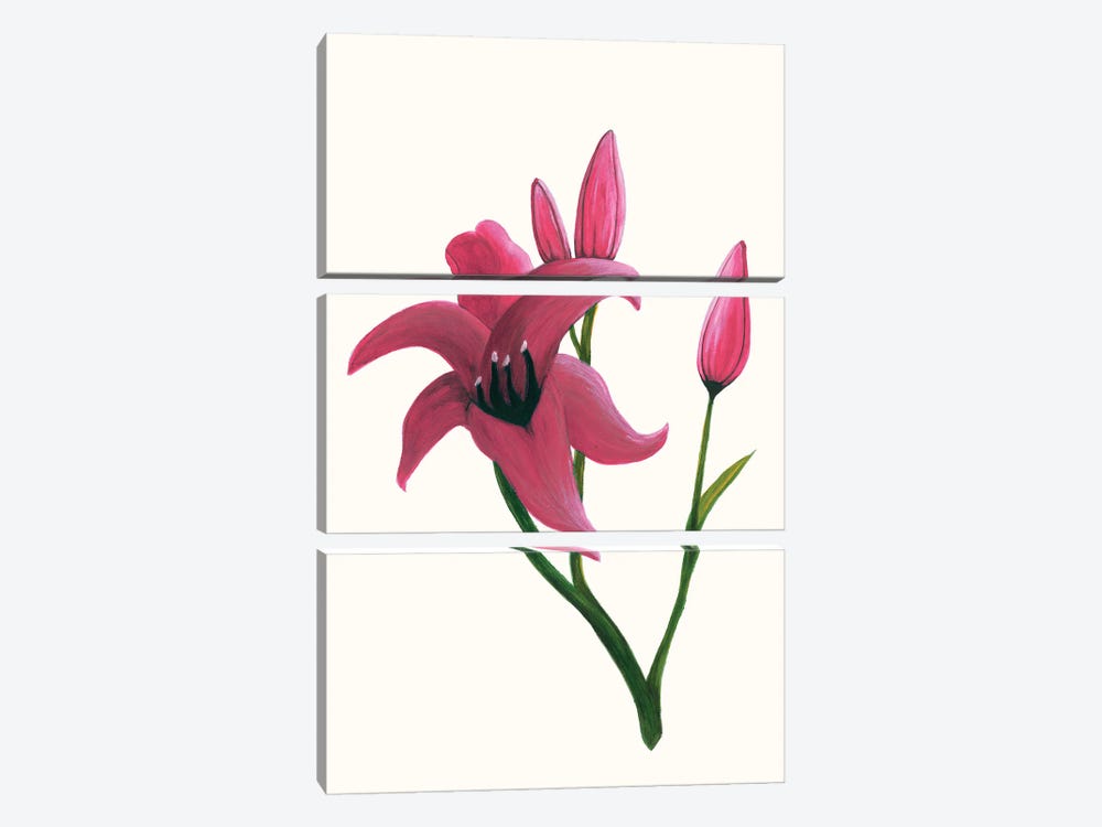 Clear Day Lily II by Kayleigh Wold 3-piece Art Print