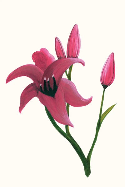 Kayleigh Wold: Clear Day Lily II by Kayleigh Wold