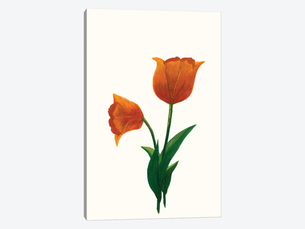 Sunrise Tulip I by Kayleigh Wold 1-piece Art Print