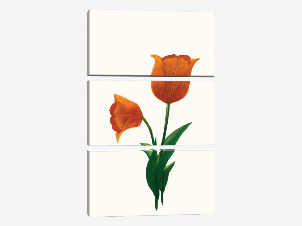 Sunrise Tulip I by Kayleigh Wold 3-piece Canvas Print