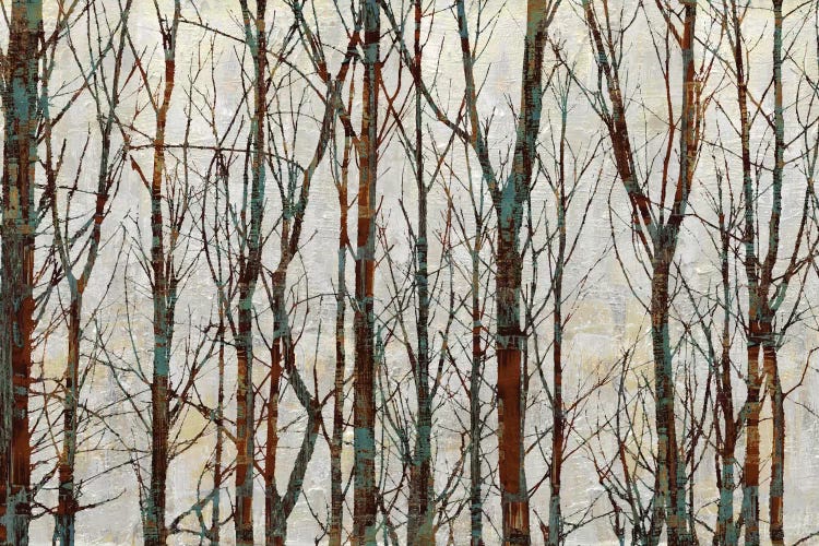 Into The Woods by Kyle Webster wall art