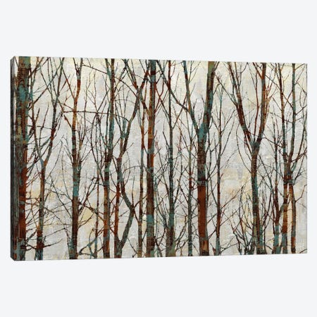 Into The Woods Canvas Print #KWE3} by Kyle Webster Canvas Wall Art
