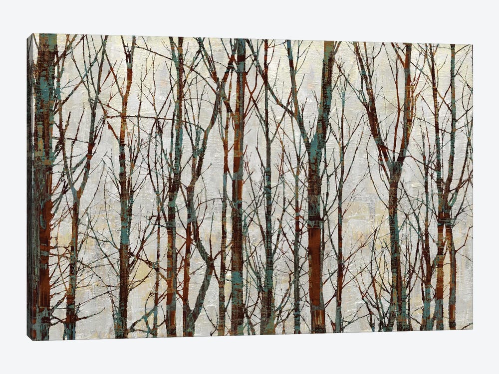 Into The Woods by Kyle Webster 1-piece Canvas Wall Art