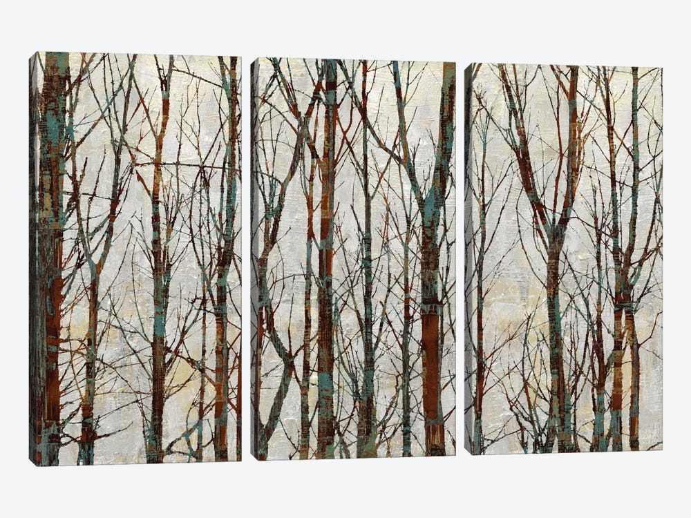 Into The Woods by Kyle Webster 3-piece Canvas Art