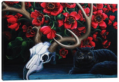 Black Cat Canvas Art Print - Southwest Décor
