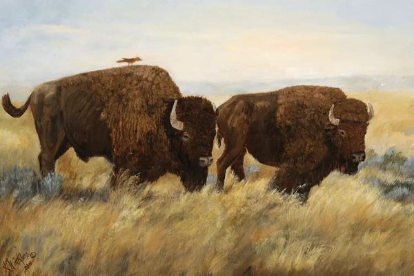 Bison & Buffaloes: Hitchhiker I by Kathy Winkler