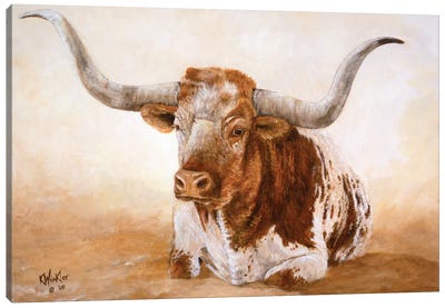 Easy Rider Canvas Art Print - Cow Art