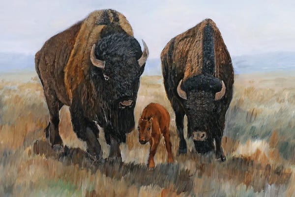 Bison & Buffaloes: Family Affair II by Kathy Winkler