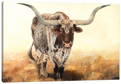 Sentimental Journey II Canvas Art Print - Cow Art