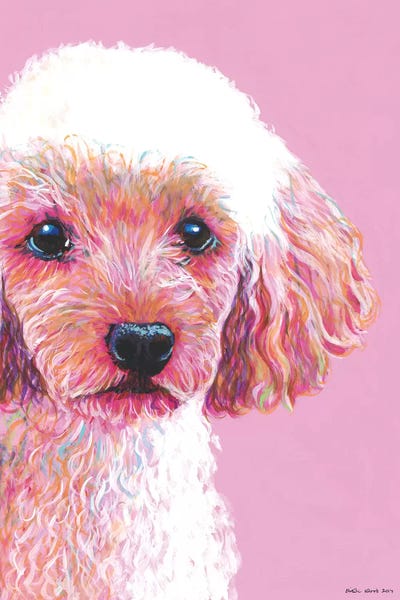 Poodle On Pink by Kirstin Wood art print