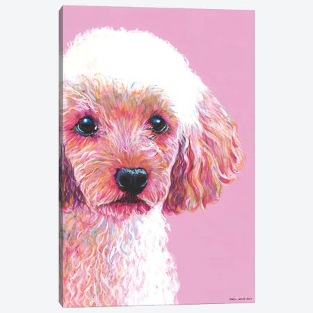 Poodle On Pink Canvas Print #KWO11} by Kirstin Wood Canvas Wall Art
