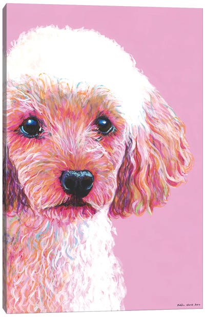 Poodle On Pink Canvas Art Print - Kirstin Wood