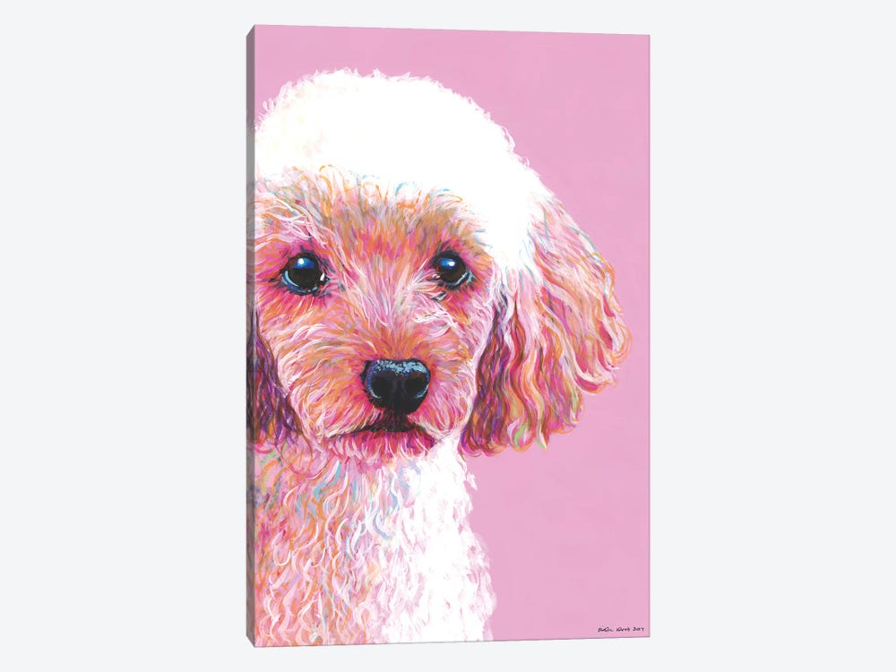 Poodle On Pink by Kirstin Wood 1-piece Canvas Wall Art
