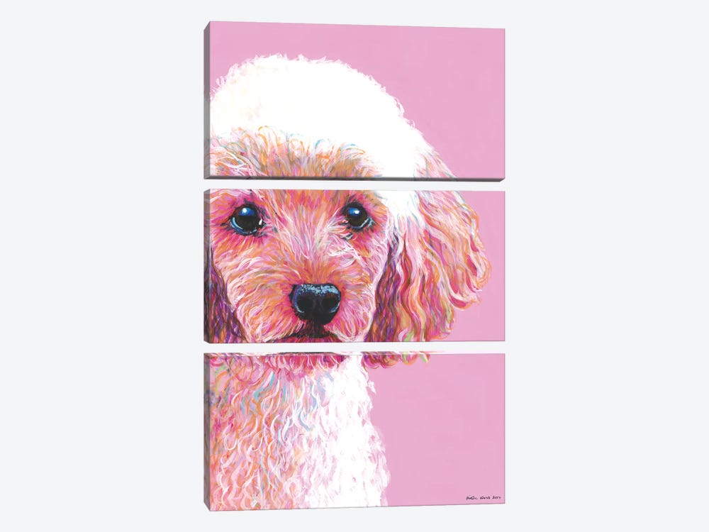 Poodle On Pink by Kirstin Wood 3-piece Canvas Wall Art