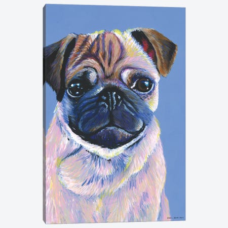 Pug On Blue Canvas Print #KWO12} by Kirstin Wood Canvas Art