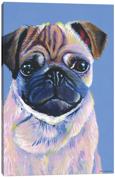 Pug On Blue Canvas Art Print - Pug Art