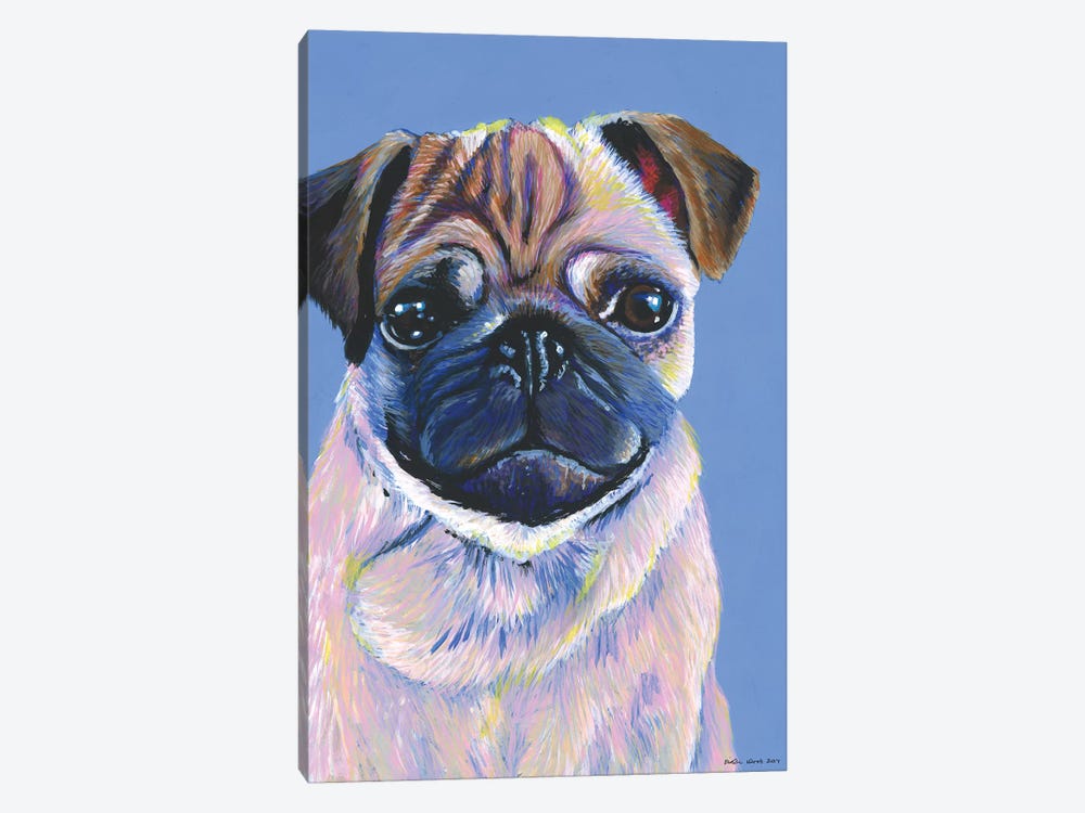 Pug On Blue by Kirstin Wood 1-piece Canvas Print