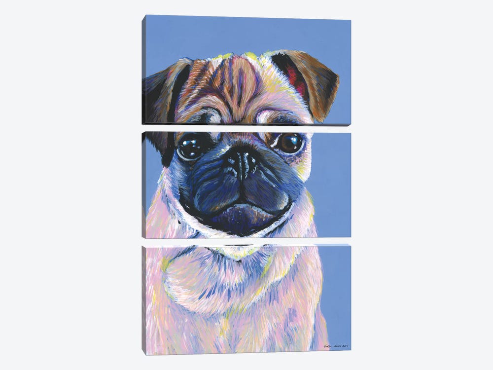 Pug On Blue by Kirstin Wood 3-piece Canvas Art Print