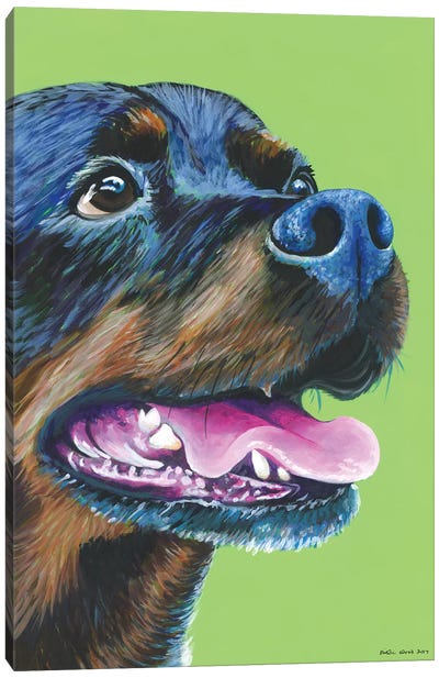 Rottweiller On Lime Canvas Art Print - Rottweiler Art