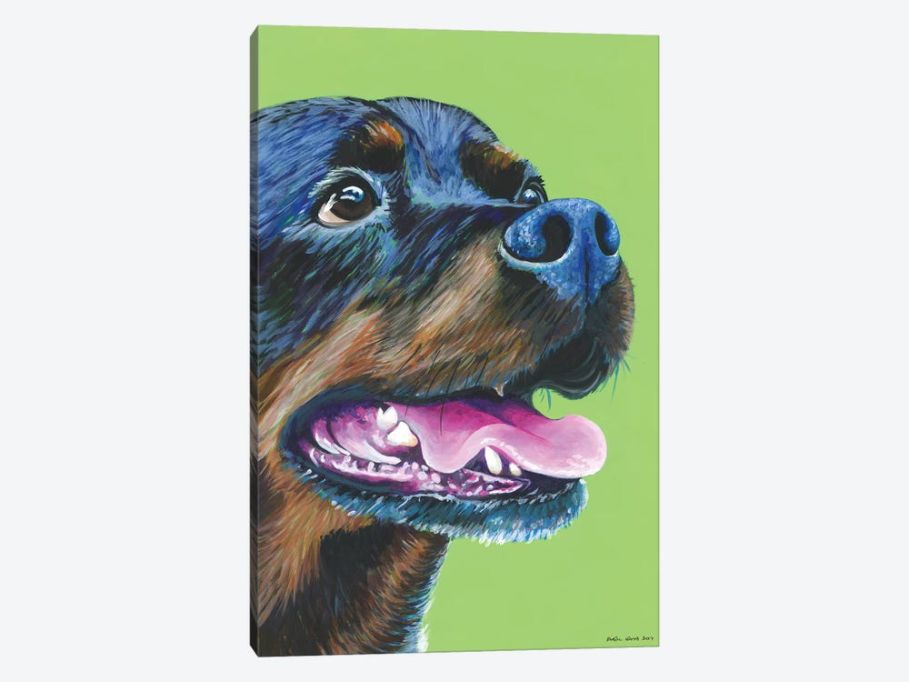 Rottweiller On Lime by Kirstin Wood 1-piece Canvas Wall Art