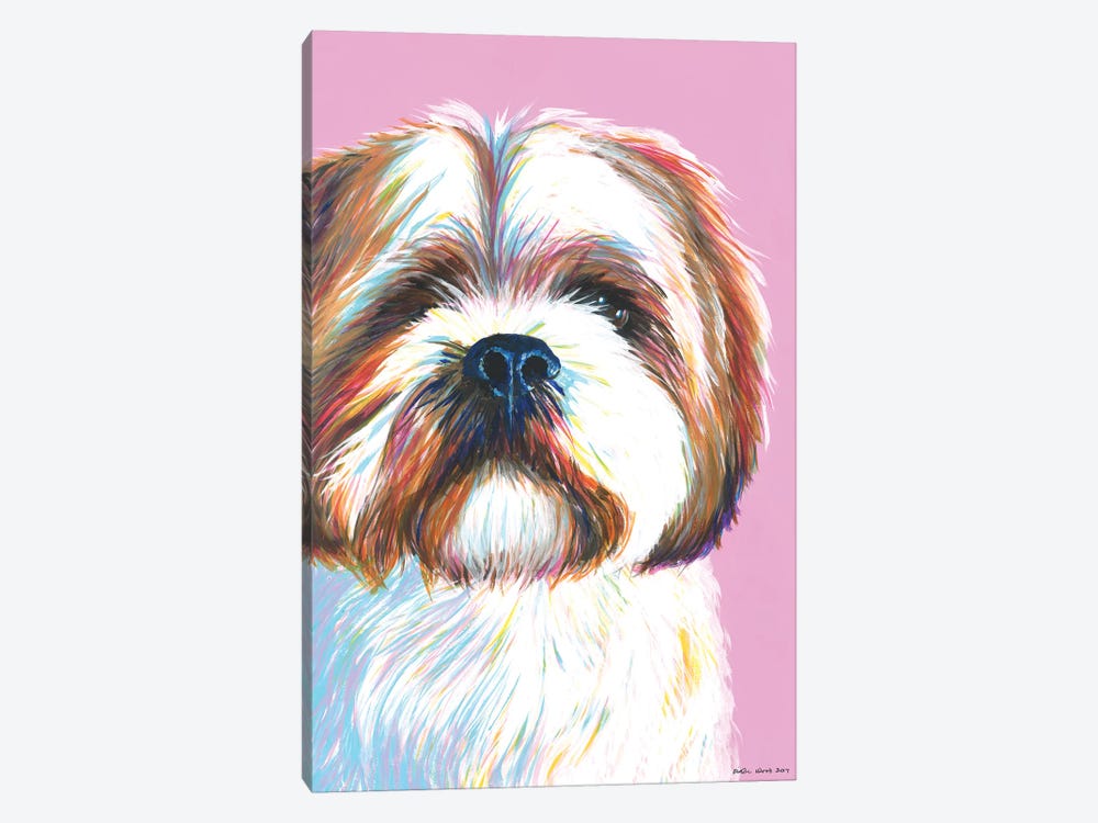 Shih Tzu On Pink by Kirstin Wood 1-piece Canvas Art Print