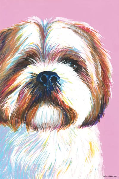 Shih Tzus: Shih Tzu On Pink by Kirstin Wood